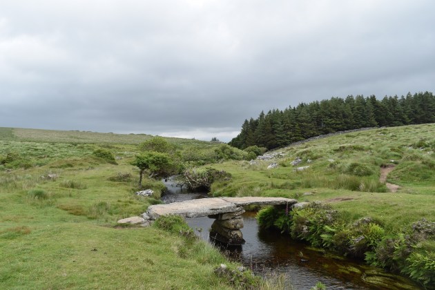 Teign-e-ver Clapper 4