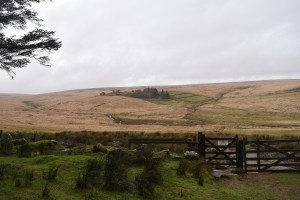 Teignhead Farm 1