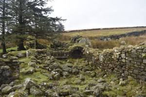Teignhead Farm 3