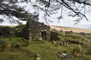 Teignhead Farm 4