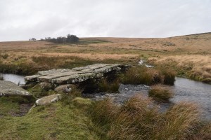 Teignhead Farm Clapper Bridge 1