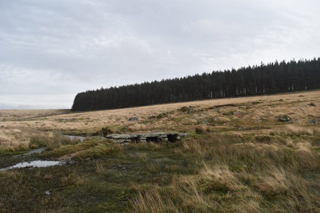 Teignhead Farm Clapper Bridge 3
