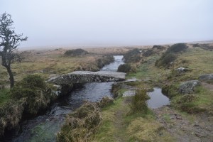 Walla Brook Clapper