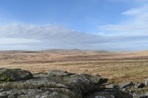 Wild Tor 1
