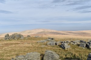 Wild Tor 3