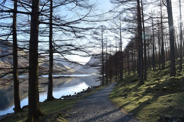 Buttermere 5
