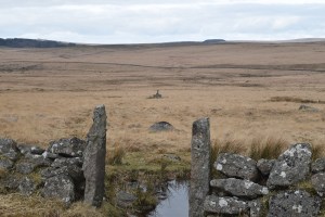Throiugh the gate to Childe's Tomb. Foxtor Mire beyond