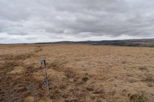 Down Ridge 2