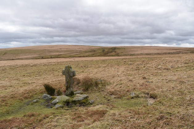 Fox Tor 23