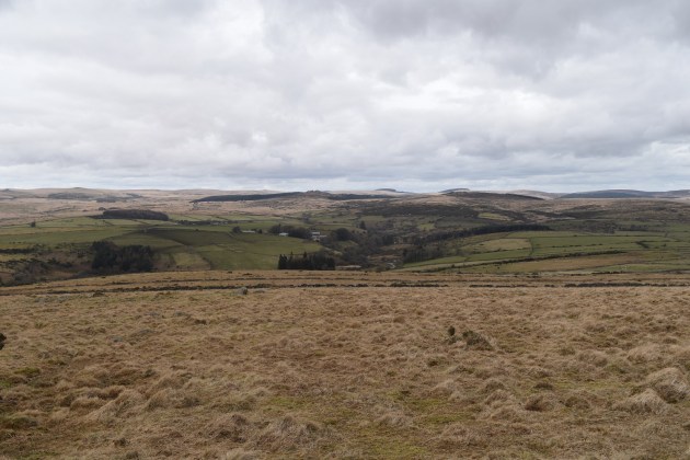 Fox Tor 25