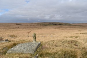 Foxtor Mire 2