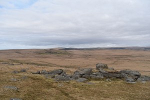 Foxtor Mire 3