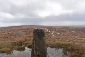 Lee Moor 1