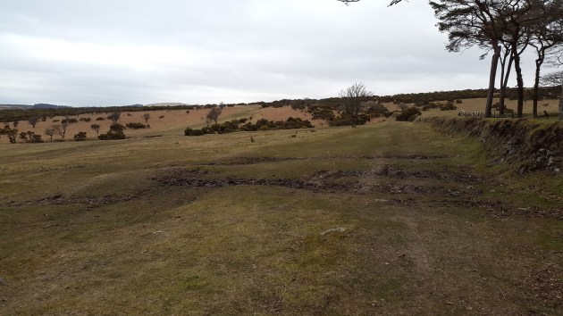 Legis stone circle 1