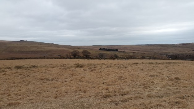 Legis stone circle 7