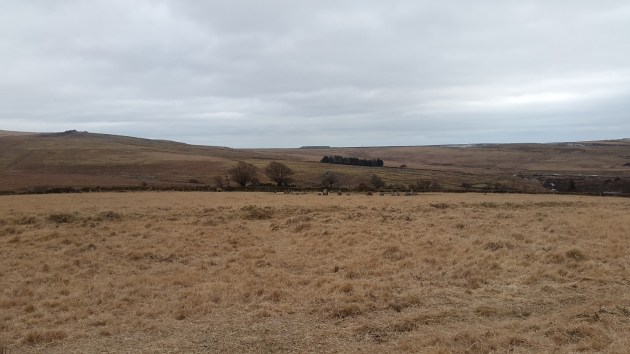 Legis stone circle 7