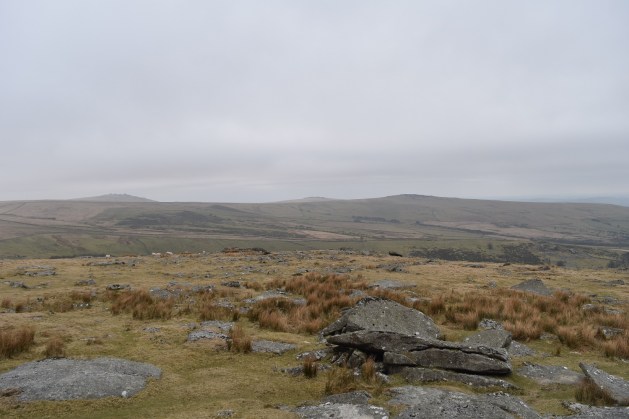 Lynch Tor 14