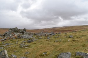 Shadyback Tor 2