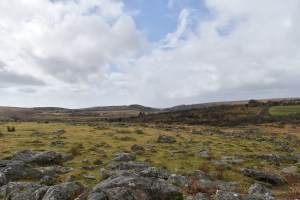 Shadyback Tor 3