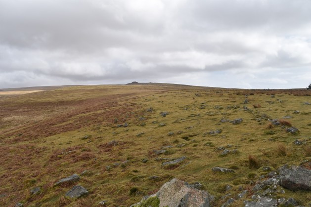Shadyback Tor 4