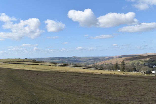 Sharp Tor (Peter Tavy) 1