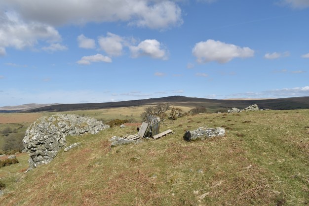 Sharp Tor (Peter Tavy) 2