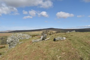 Sharp Tor (Peter Tavy) 2