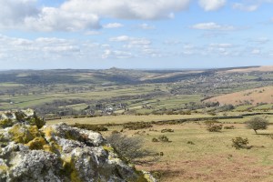 Sharp Tor (Peter Tavy) 3