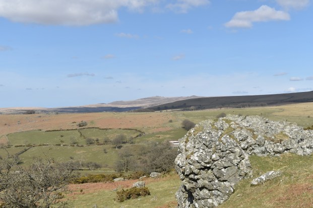 Sharp Tor (Peter Tavy) 4