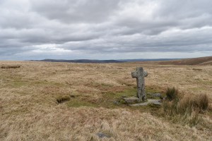 Skir Ford Cross 3