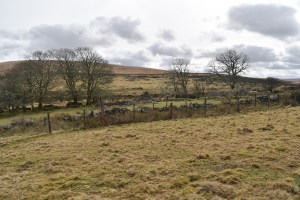 Swincombe Farm 4