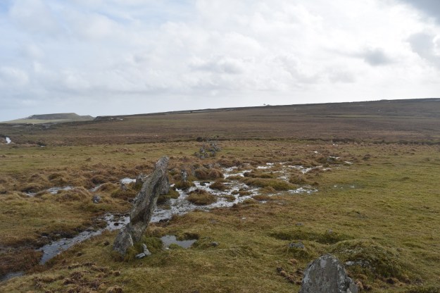 Trowlesworthy Stone Row 2