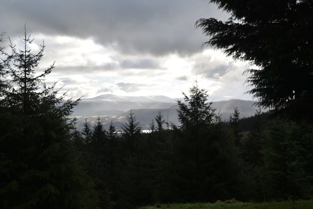Whinlatter 2