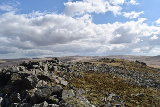 Belstone Tor 1