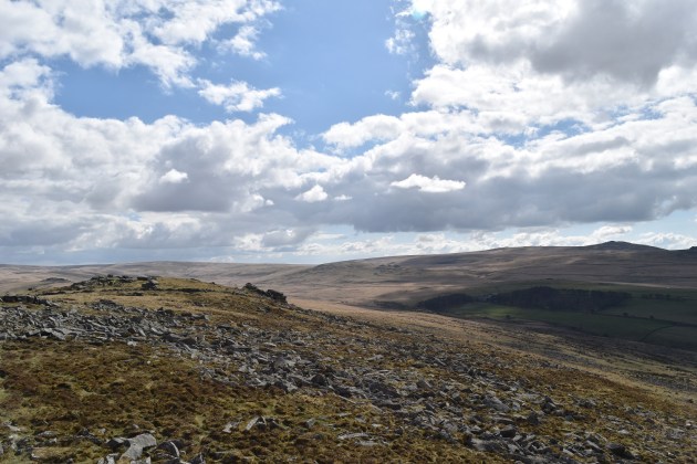 Belstone Tor 2