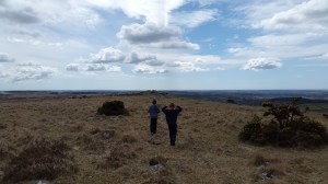 Collard Tor 1