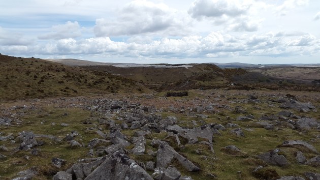 Collard Tor 4