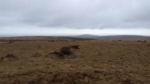 Grippers Hill 1