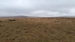 Grippers Hill 7