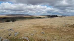 Hollow Tor (Rundlestone) 2