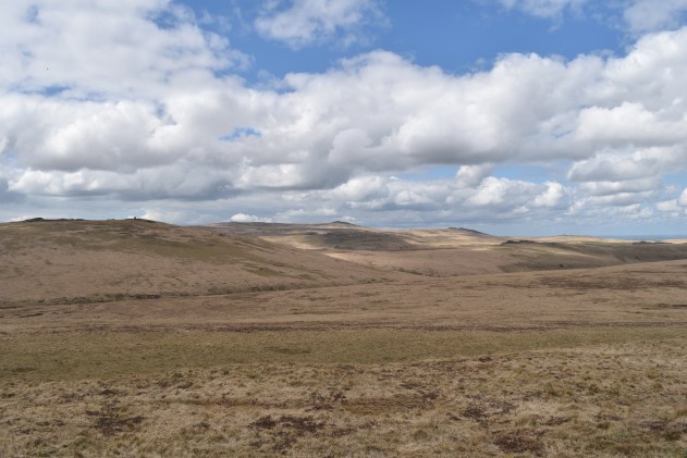 Hound Tor (Throwleigh) 1