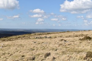 Nine maidens 1