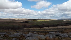 Rundlestone Tor 1