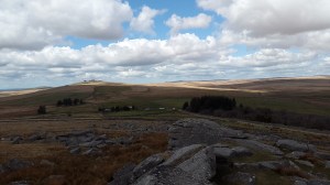 Rundlestone Tor 2
