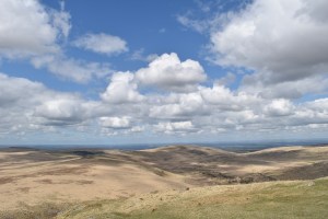 Steeperton Tor 5