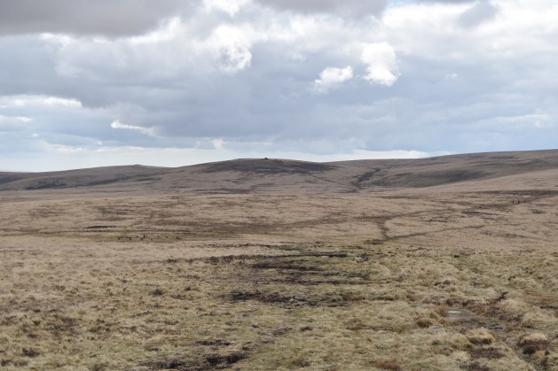 Whit Moor Stone Circle 3