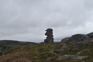 Bowermans Nose 3