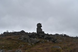 Bowermans Nose 4