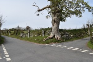 Drywell Cross 3