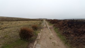 Haytor Tramway 1